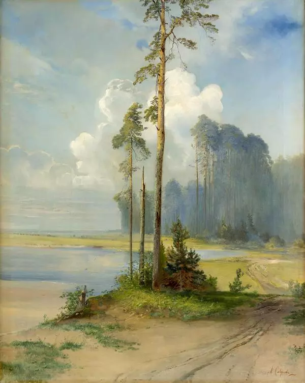 Летний пейзаж. Сосны