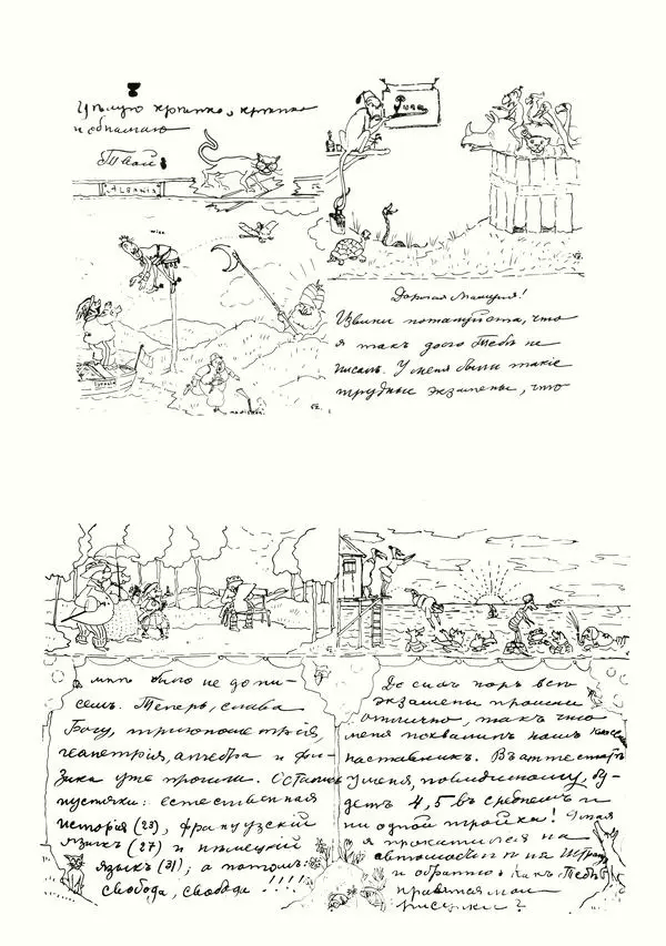 Послание Маменьке накануне I мировой войны