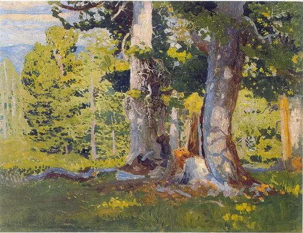 Кедровый лес