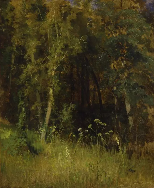 Лесная чаща
