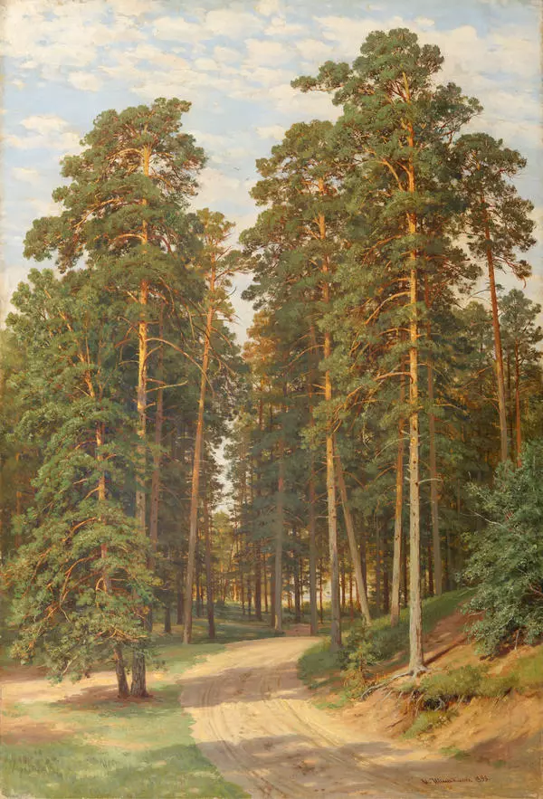 Солнце в лесу