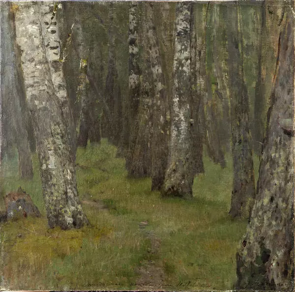 Березы. Опушка леса