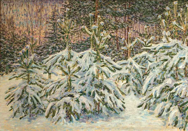 Сосенки под снегом