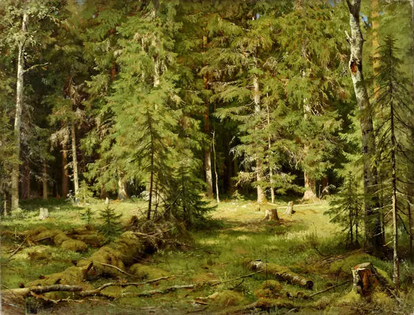 Лес