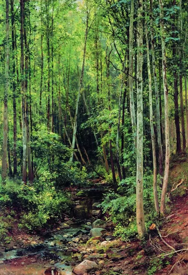 Лес-осинник