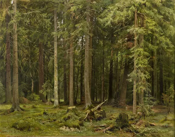 Лес в Мордвинове