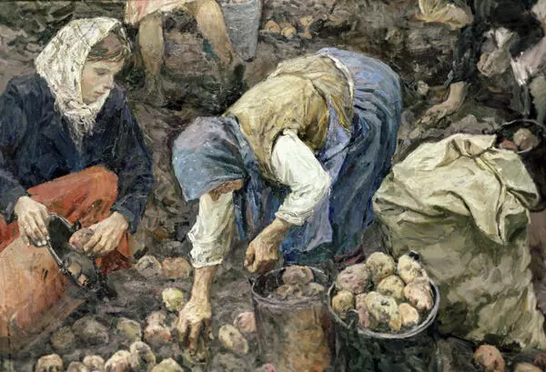 Сбор картофеля