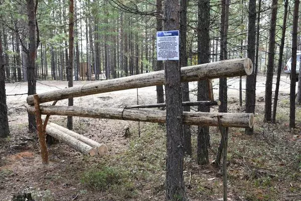 Галерея музея