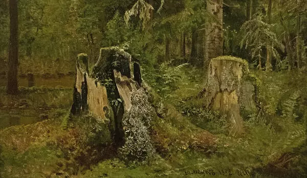 Лесной пень