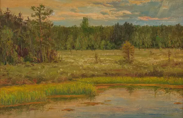 Берега Северной Двины