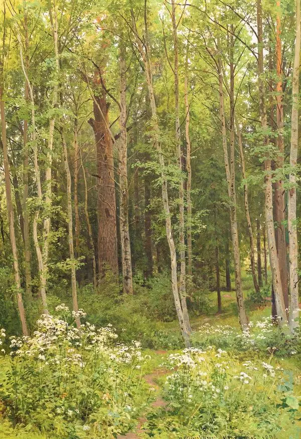 Внутренность леса