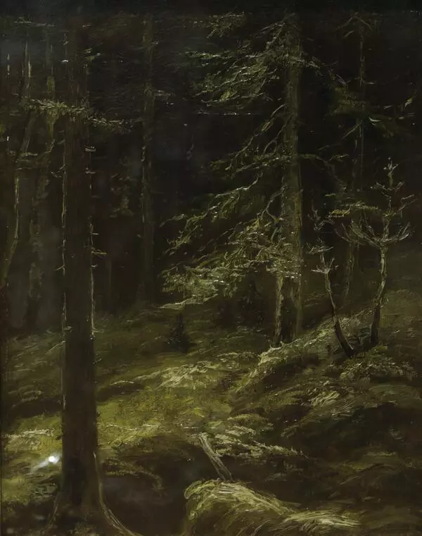 Дебри