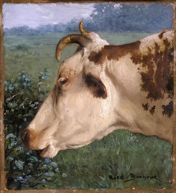 Корова