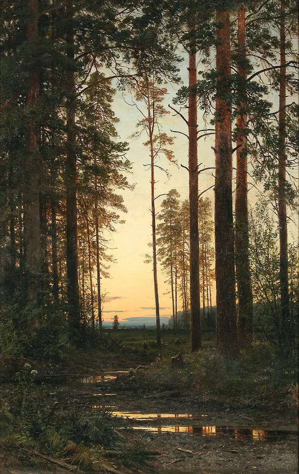 Сумерки