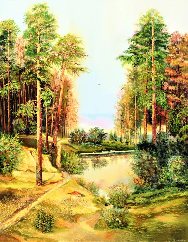 Лесное озеро в сосновом бору. Титовка