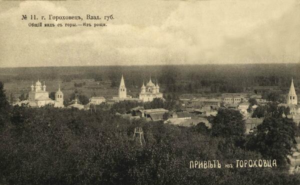 Общий вид с горы, из рощи