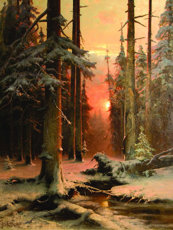 Снег в лесу