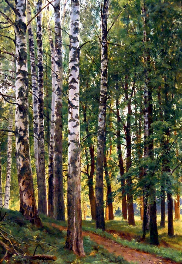 Березовая роща