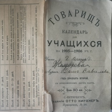 Дневник гимназиста