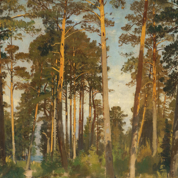 Сосны