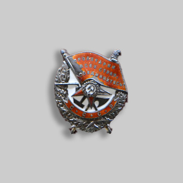 Орден Красного Знамени Шишкина М.Д.