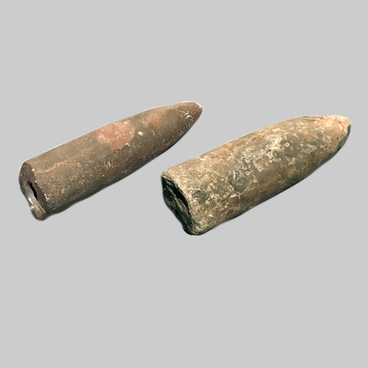 Белемниты Cylindroteuthinae