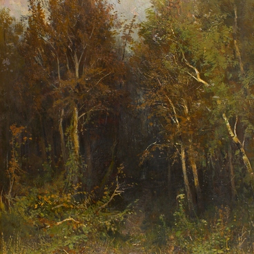 В лесу