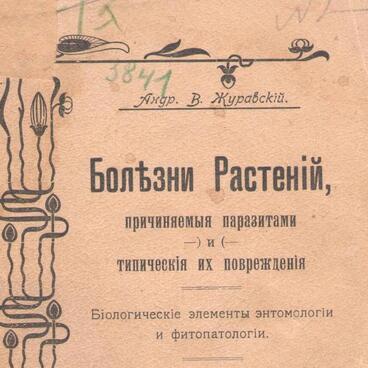 Болезни растений