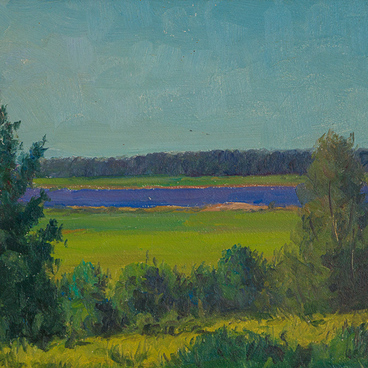 Двинские берега