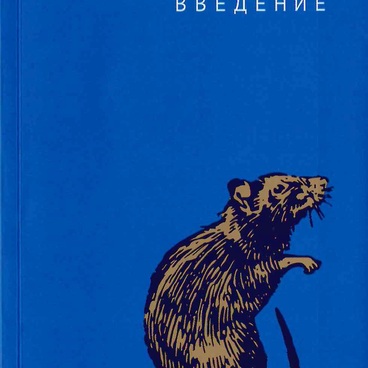 Коррупция: очень краткое введение