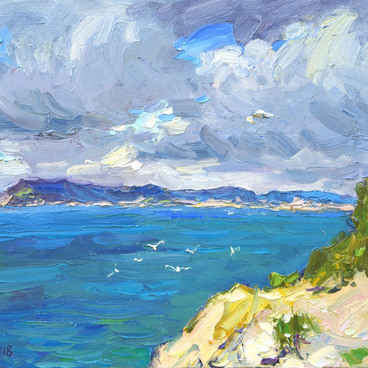 Чайки и море