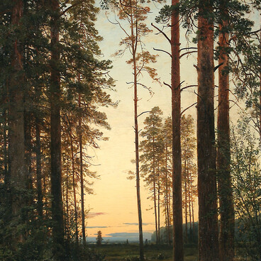 Сумерки