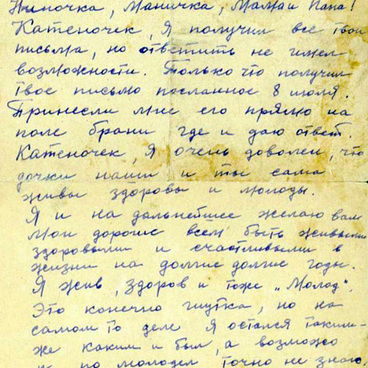 Письмо Васильева В.И.