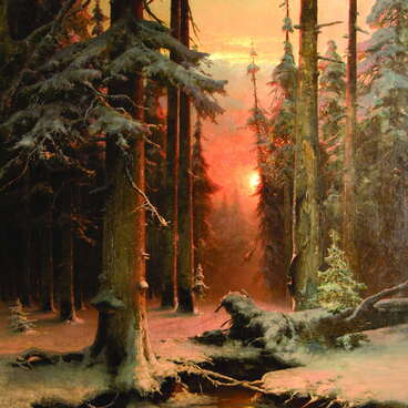 Снег в лесу