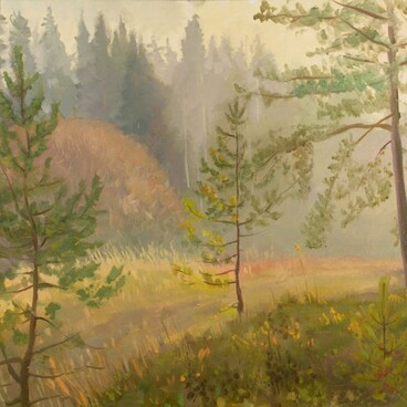 Утро в лесу