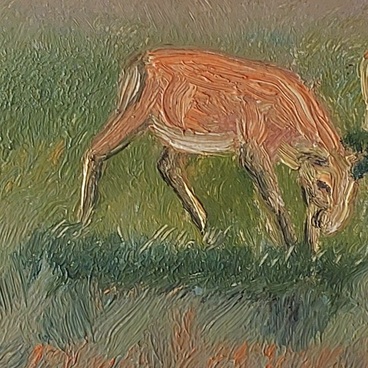 Сайгаки