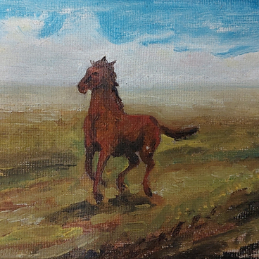 Лошадь в степи