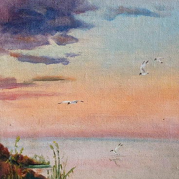 Чайки