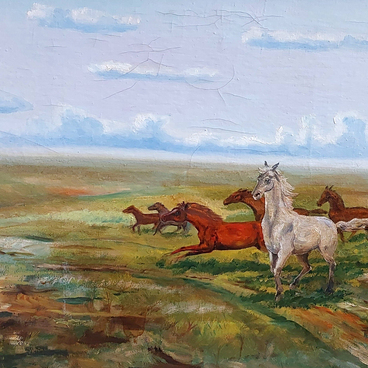 Косяк в степи