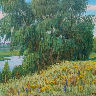 Ветла