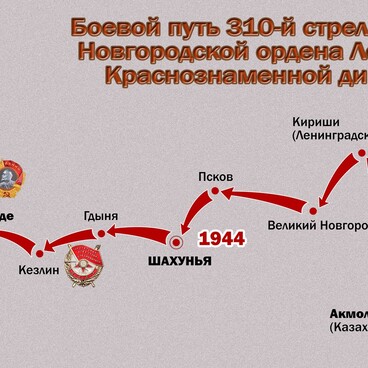 Боевой путь 310-й стрелковой дивизии