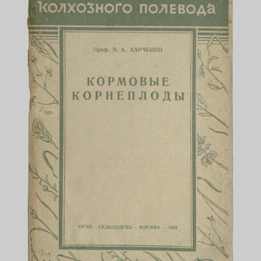 Кормовые корнеплоды